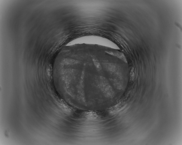 X0000096470424200802211155