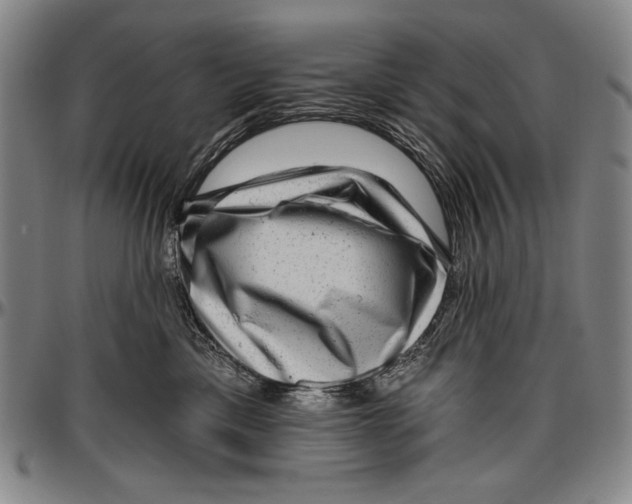 X0000096470425200802211155
