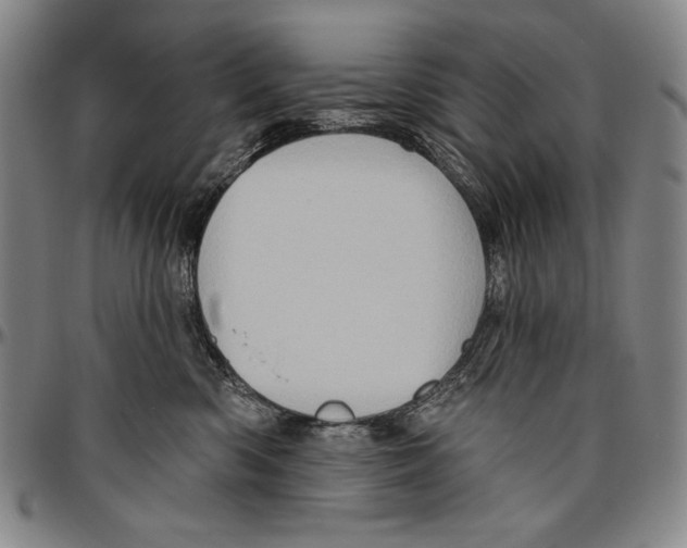 X0000096470426200802211155