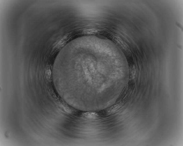 X0000096470427200802211155