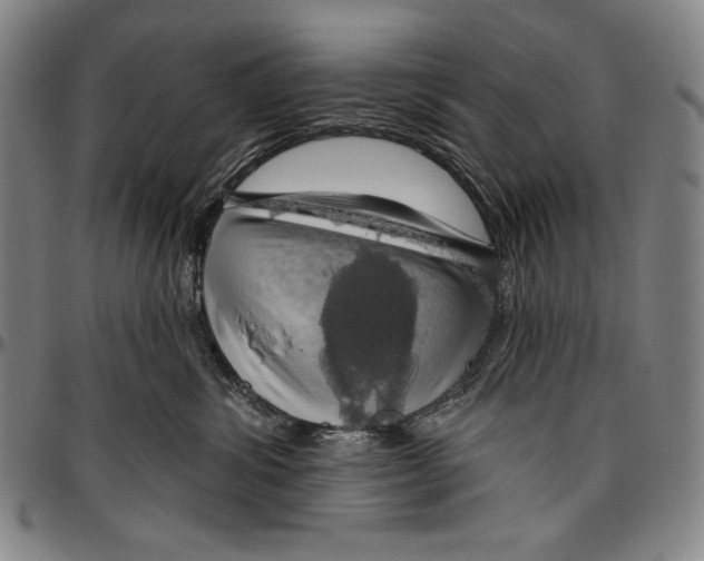 X0000096470428200802211155