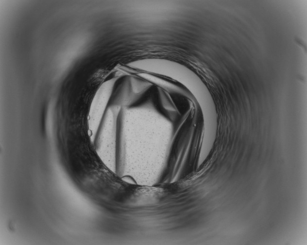 X0000096470429200802211155