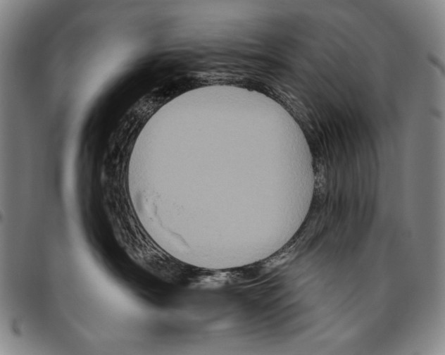 X0000096470430200802211155