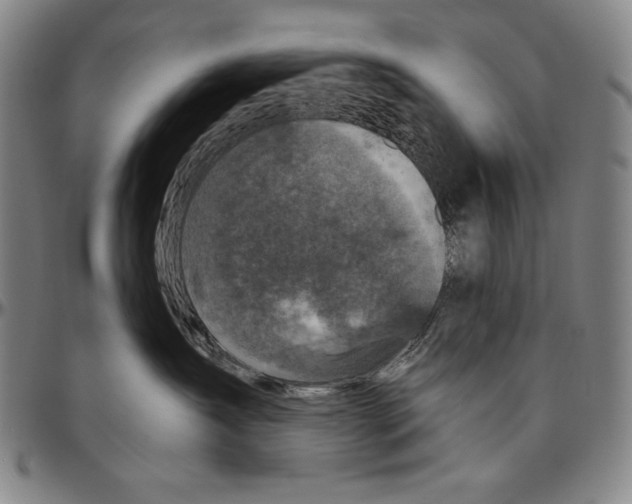 X0000096470431200802211155