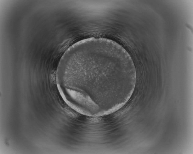 X0000096470432200802211155