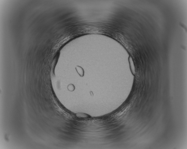 X0000096470433200802211154