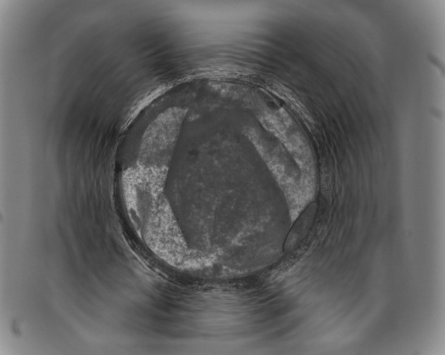 X0000096470434200802211154