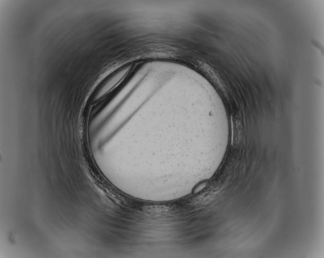 X0000096470435200802211154