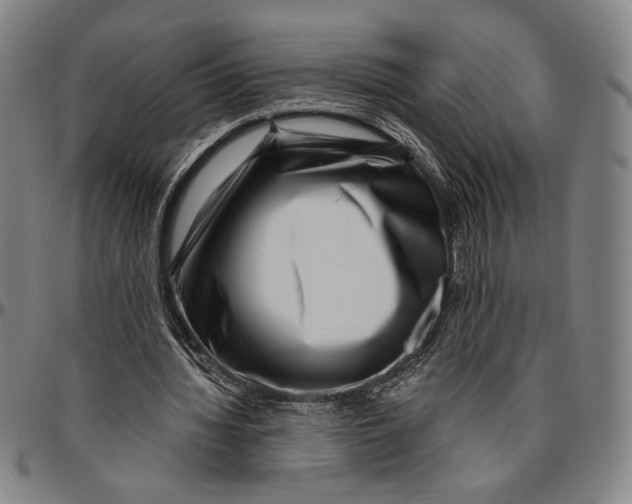 X0000096470436200802211154