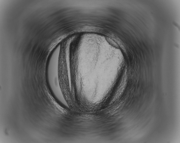 X0000096470437200802211154