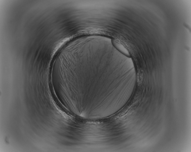 X0000096470438200802211154