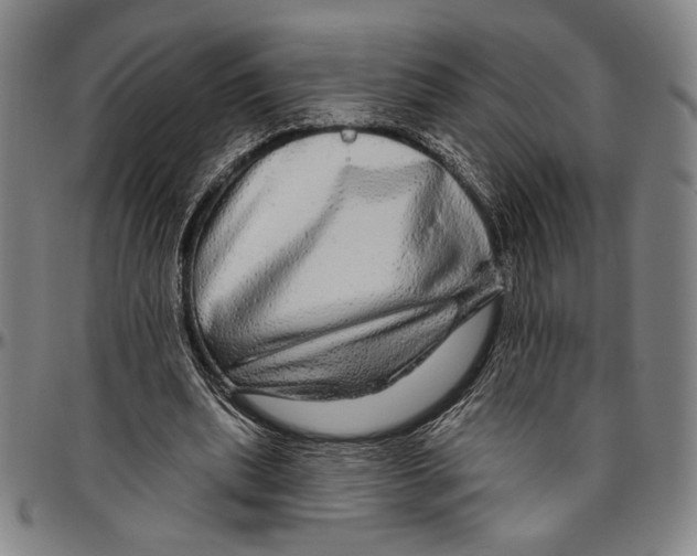 X0000096470439200802211154