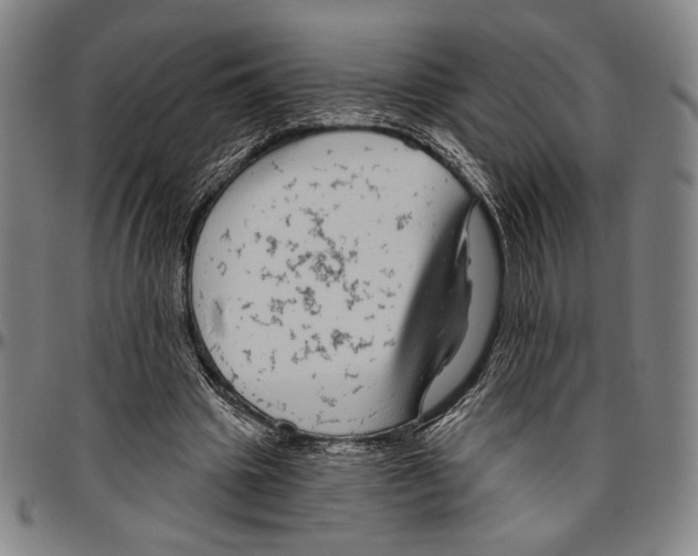 X0000096470441200802211154