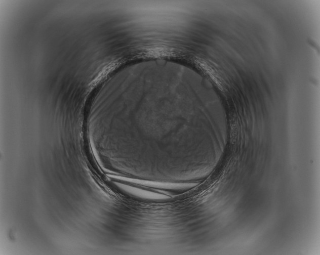 X0000096470443200802211154