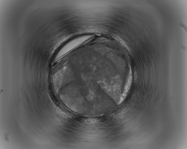 X0000096470444200802211154