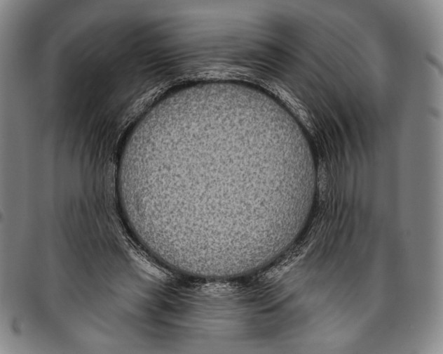 X0000096470445200802211154