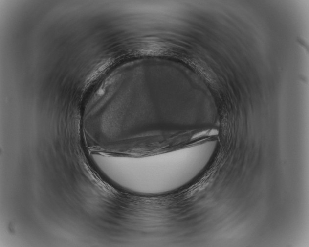 X0000096470446200802211154