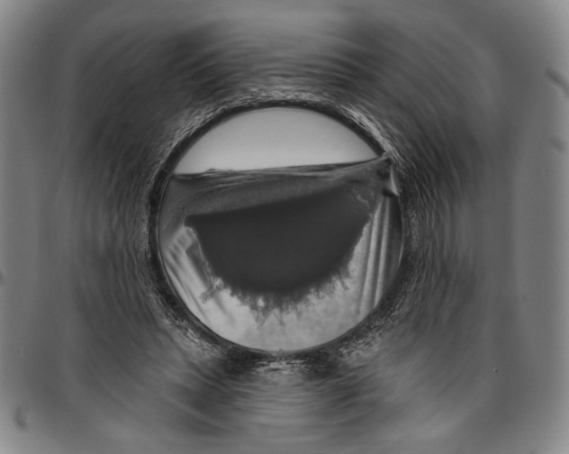X0000096470447200802211154