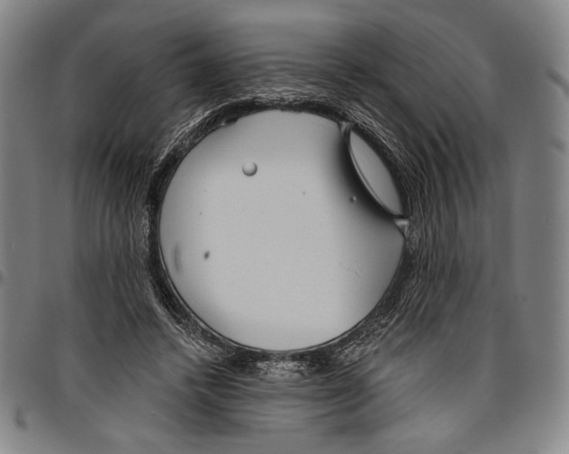 X0000096470448200802211154