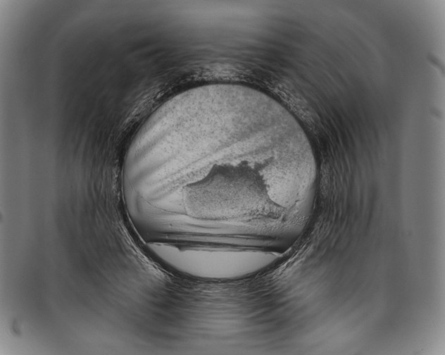 X0000096470449200802211154