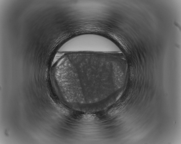 X0000096470451200802211154