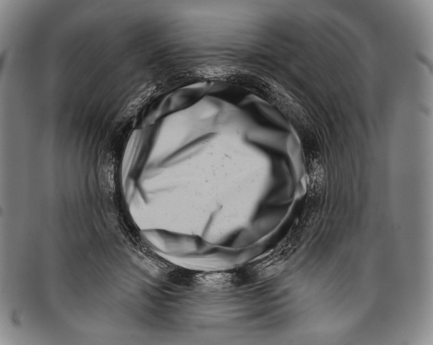 X0000096470452200802211154