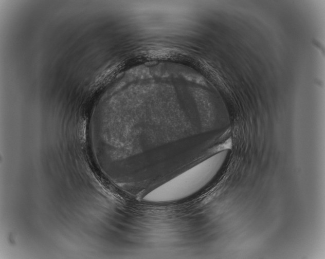 X0000096470454200802211154