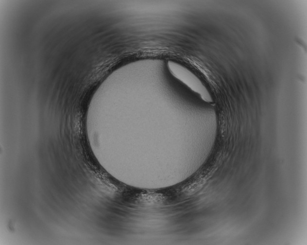 X0000096470455200802211154