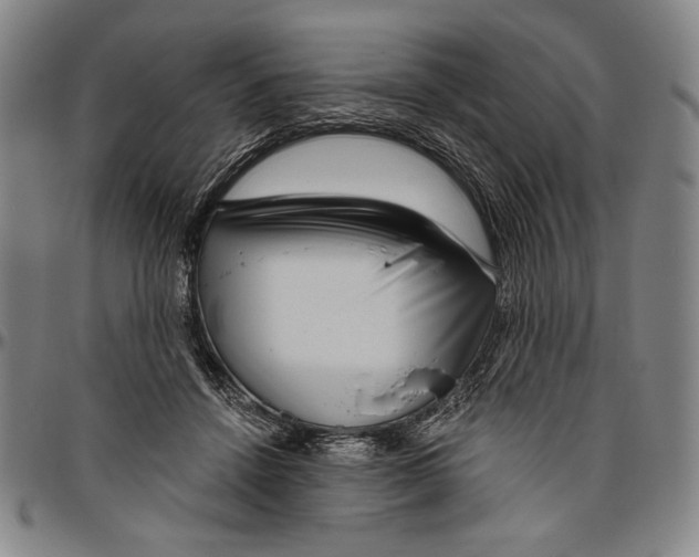 X0000096470456200802211154