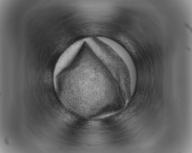 X0000096470457200802211154