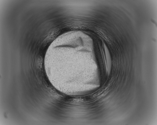 X0000096470458200802211154