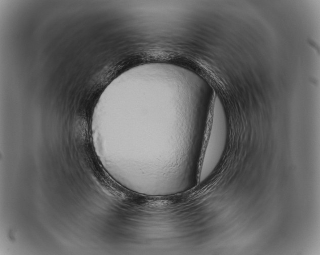 X0000096470459200802211154