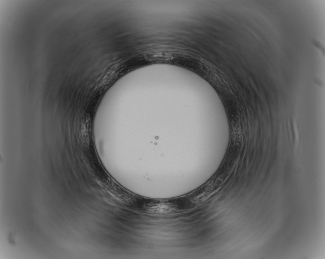 X0000096470460200802211155