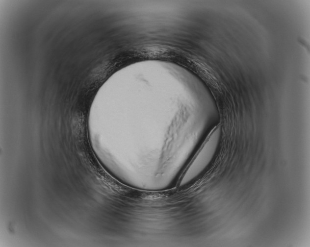 X0000096470461200802211155