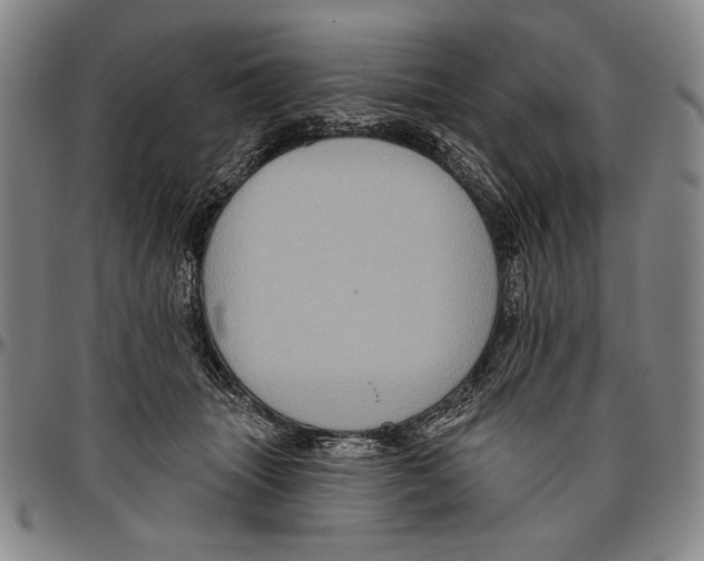 X0000096470463200802211155