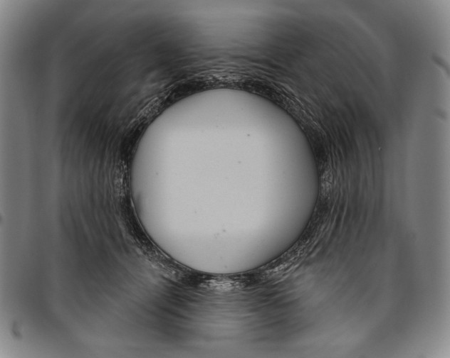 X0000096470464200802211155