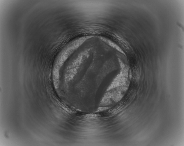 X0000096470465200802211155