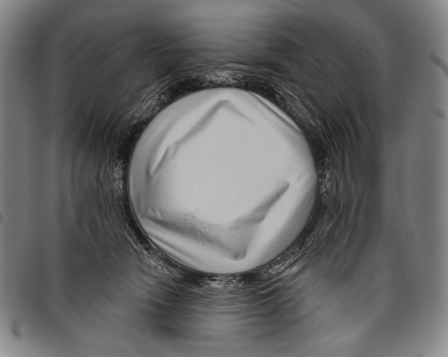 X0000096470466200802211155