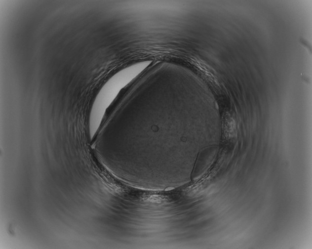 X0000096470467200802211155