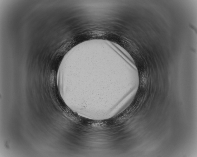 X0000096470468200802211155
