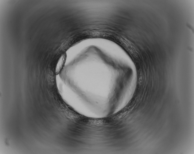 X0000096470469200802211155