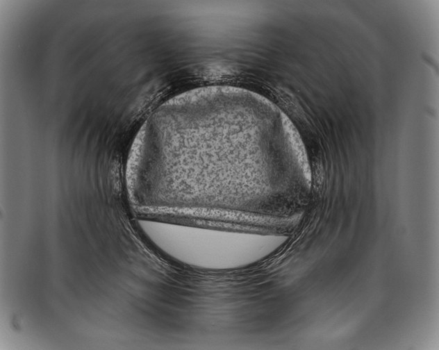 X0000096470470200802211155