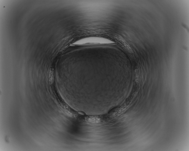X0000096470471200802211155
