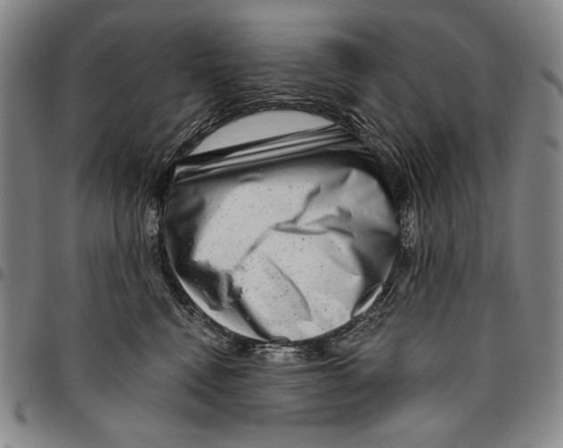 X0000096470472200802211155