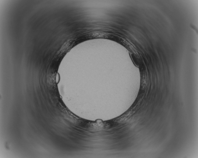 X0000096470473200802211155