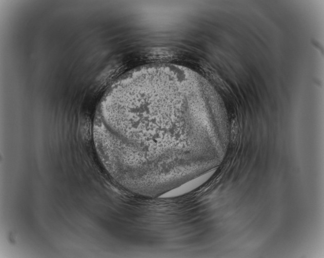 X0000096470474200802211155
