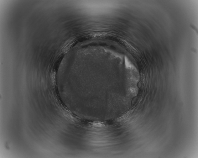 X0000096470475200802211155