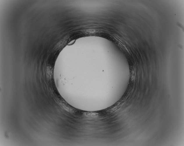 X0000096470476200802211155