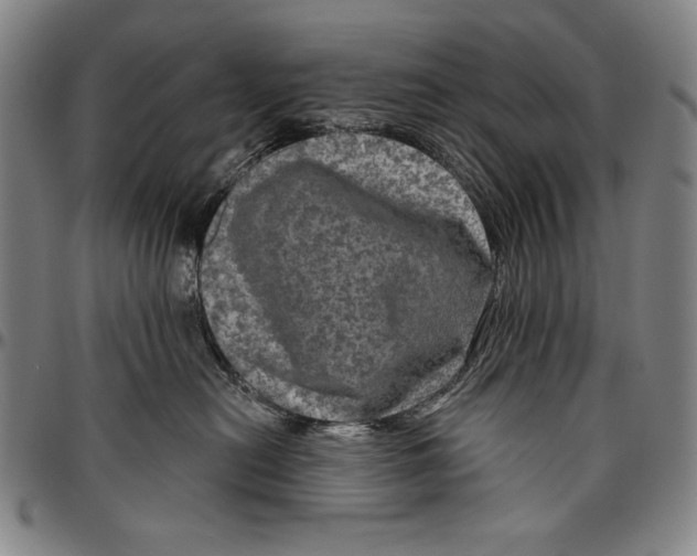 X0000096470478200802211155