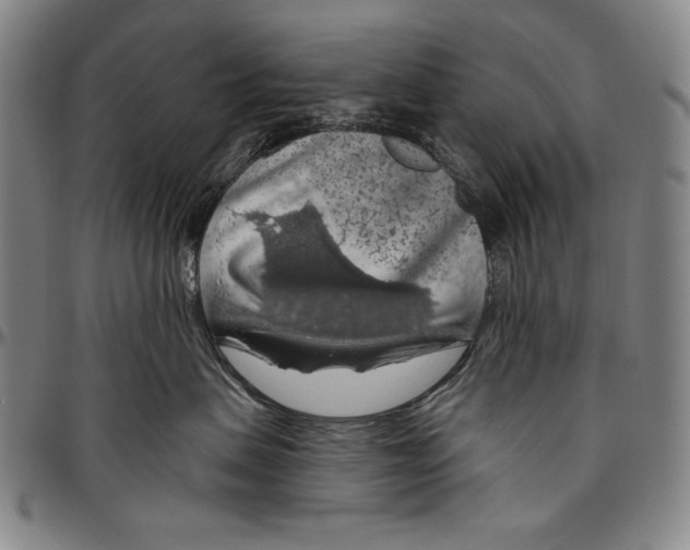 X0000096470479200802211155